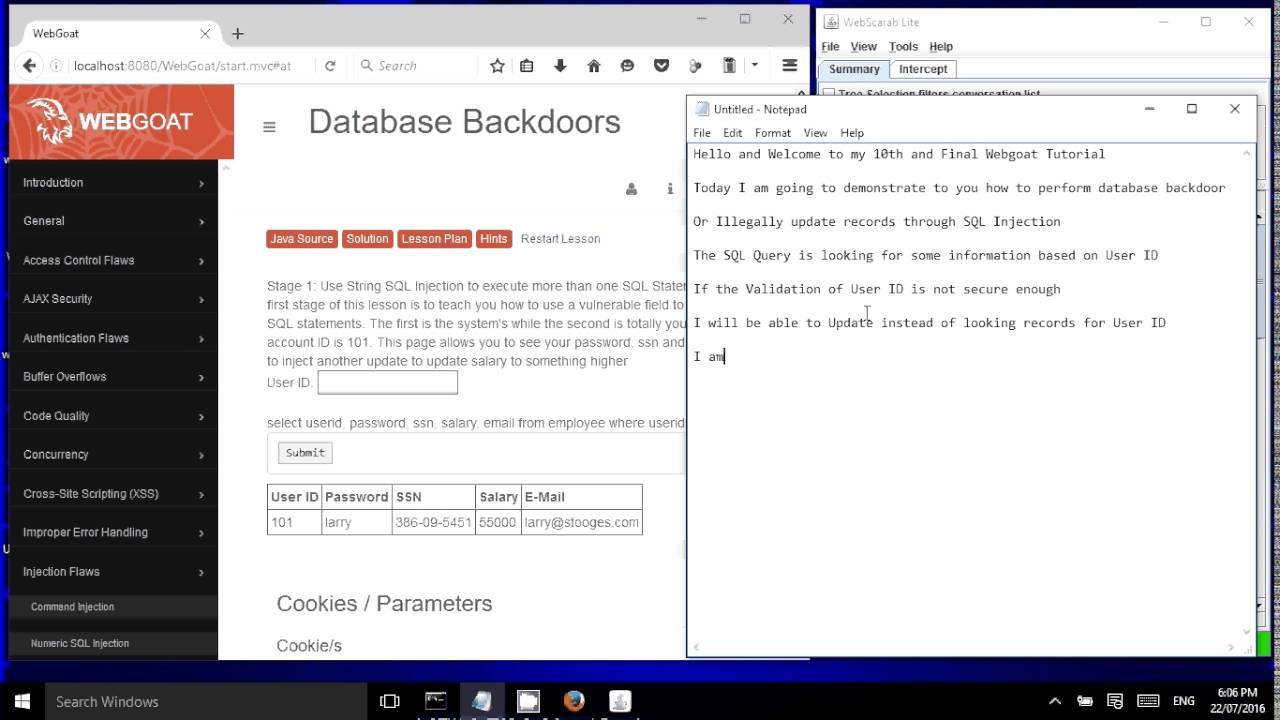 WebGoat Tutorial 10 Database Backdoor - YouTube