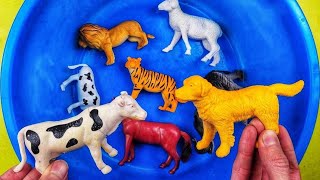 Учим Животных на английском Корова  Лошадь Бегемот Собака Петух Развивающие Мультики для Детей