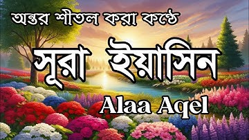 প্রতিদিন সকালে শুনুন – মন জুড়ানো কণ্ঠে সূরা ইয়াসিন | (سورة يس) Surah Yasin | Morning Tilawat