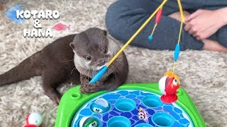 カワウソコタローとハナ　横取りして怒られちゃった魚釣りゲーム　Otter Kotaro&Hana Fun Fishing Game Toy