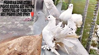 Makkajoxori bilan jinsiy aloqa ajoyib orgazmga olib keldi