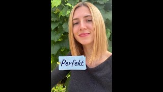 Складний минулий час або Perfekt в німецькій мові.