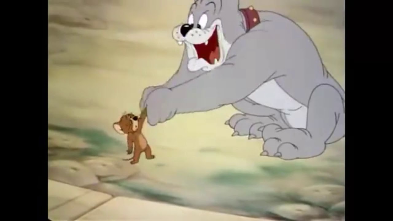 Tom and jerry best friend YouTube