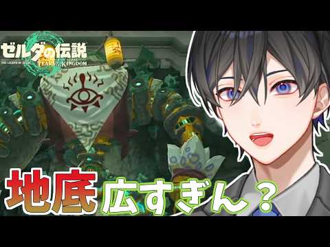 【ゼルダの伝説 ティアーズ オブ ザ キングダム】#11 最終回かも...?【VTuber / 影ノサキ】