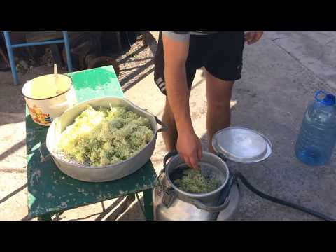 Video: Kako Narediti Jabolčni Kvas