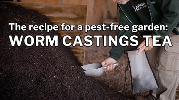 WORM CASTINGS TEA RECIPE: Step-by-Step Directions