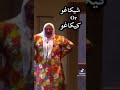 يوميات لبنانية شيكاغو أو كيكاغو 