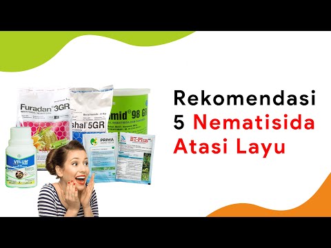 Video: Apa Itu Nematisida - Informasi Cara Menggunakan Nematisida