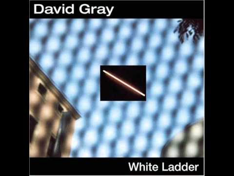 David Gray - Babylon