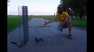 How to Build a PIGEON TRAP! (for feral pigeons)