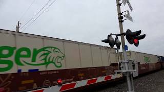 Famous Big Fast Double Stack Train Speeds Past RR crossing Net Worth