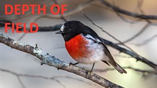 Photography School Depth Of Field