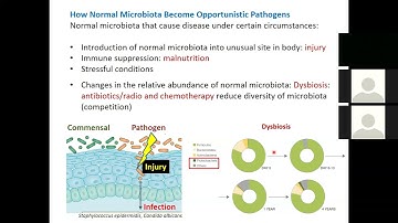 microbiology chapter 14