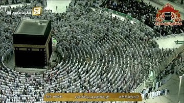 تلاوة ابداعية من سورة الزخرف للشيخ بندر بليلة فجر 12 ربيع الاول 1441هـ