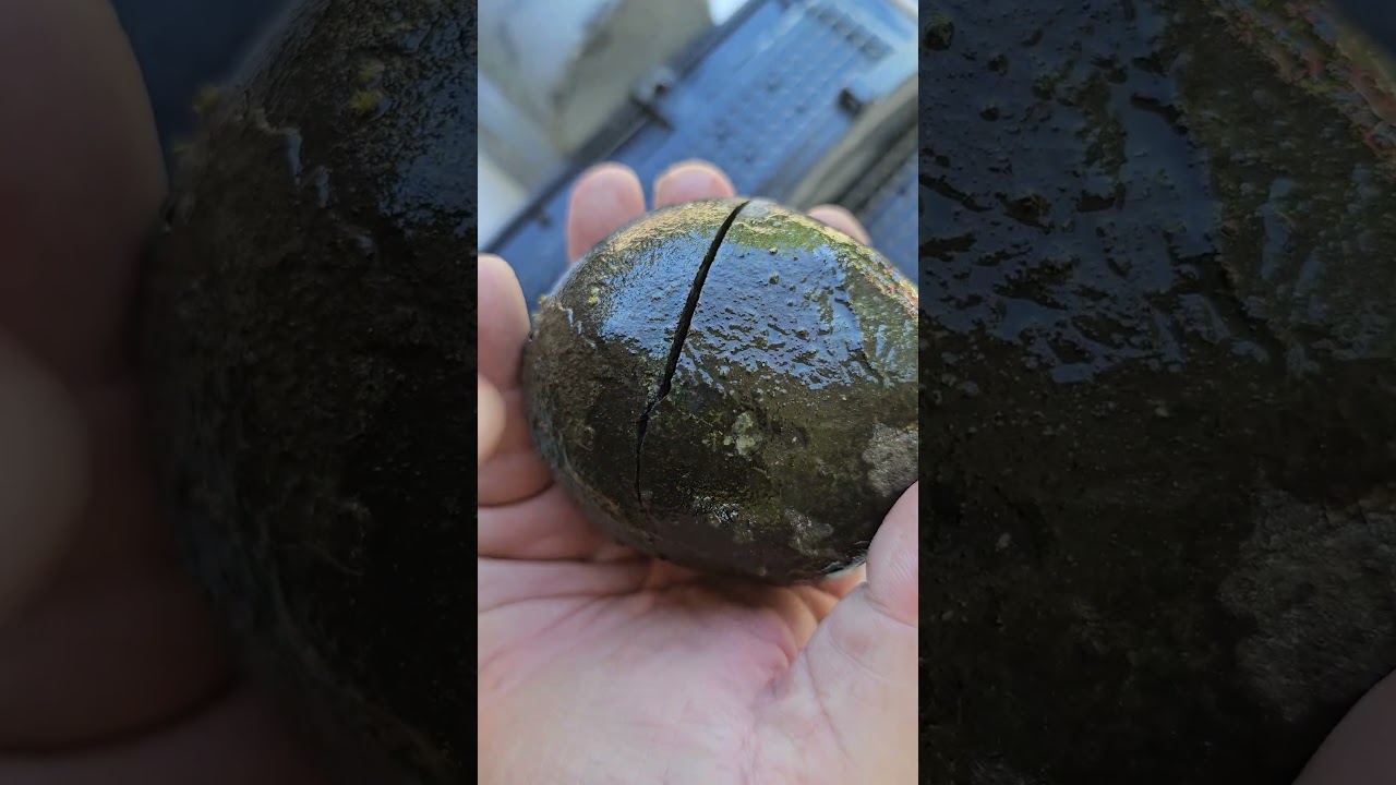 ЧТО ВНУТРИ? Этот агатовый узелок пришлось долго разрезать.