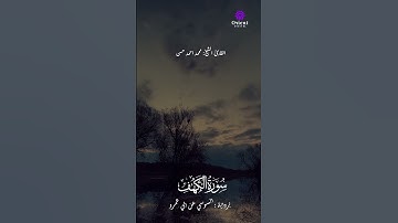 خشوع نادر في كل آية ..ما تيسر من سورة الكهف #الشيخ_محمد_أحمد_حسن #صوت_يبكي_القلوب #تلاوة_مؤثرة #خشوع