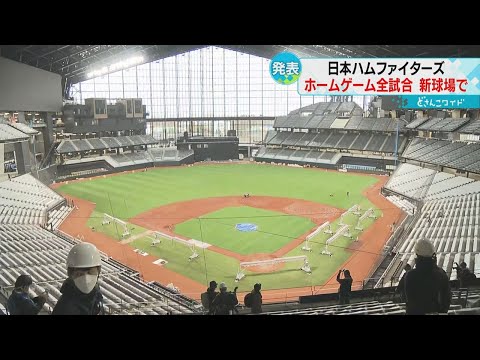 FVILLAGEボックス エスコン 日ハム 日本ハムファイターズ Highlights by 北海道日本ハムファイターズ公式 (@FightersPR) / X