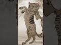 「それは金華猫かもしれないね」／TVアニメ『中禅寺先生物怪講義録　先生が謎を解いてしまうから。』第7話「化け猫の来訪」