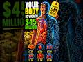 Scientists Say Your Body Is Worth Millions 💰