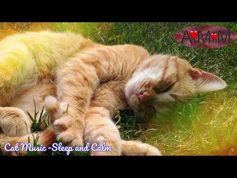 Music for CATS. Calm, relax and let your cat sleep.