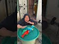 Kun Nabap #น้องภูเกิ้ลfamily #น้องภูเกิ้ลhannel #trending #funny #subscribe
