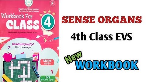 SENSE ORGANS 4th Class EVS Workbook // worksheets
