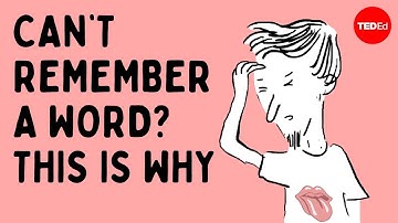 This is what happens in your brain when you can’t recall a word   Cella Wright