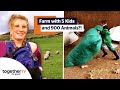 Living on a Farm with 5 Young Kids and Over 900 Sheep! | The Dales