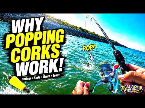 Why Popping Corks WORK! Live Shrimp for Redfish, Drum & Trout