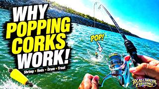 Why Popping Corks WORK! Live Shrimp for Redfish, Drum & Trout