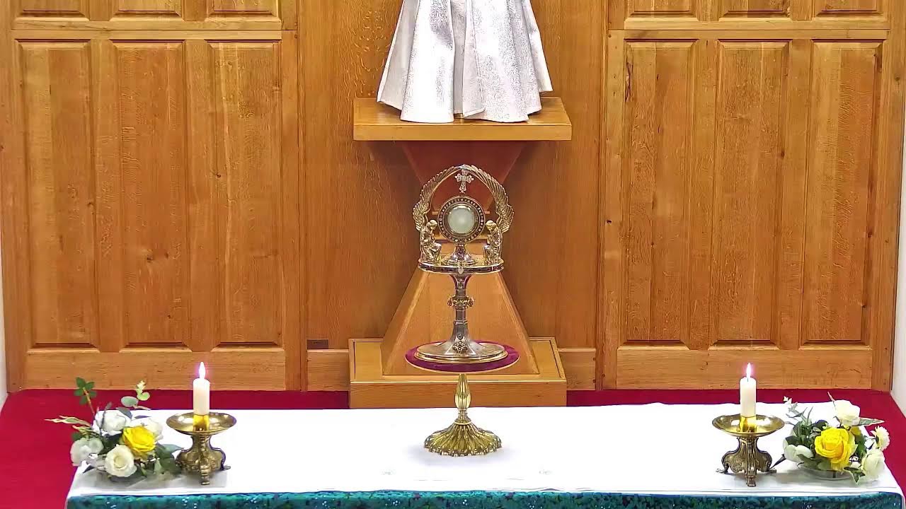 EUCHARISTIC ADORATION/HOUR OF GRACE: WEDNESDAY, 22 OCTOBER 2025, 6.00PM UK TIME