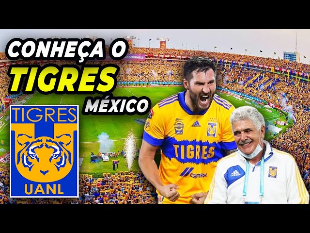 A História do TIGRES (MEX): O Primeiro Clube Mexicano a Chegar na FINAL do  Mundial de Clubes! 