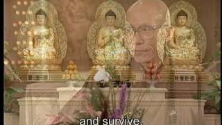 What is the meaning of sentient beings in Buddhist term?(GDD-1081)DVD