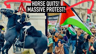 HORSE QUITS! HELICOPTER PATROLS & MASSIVE PROTEST DESCENDS ON HORSE GUARDS! 🤯 | Royal Guard, London