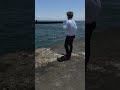 ヒカル社長エギング‼️