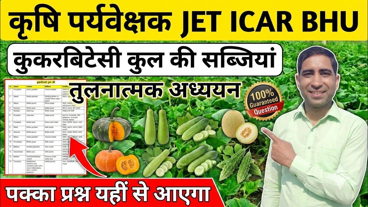 कुकरबिट्स कुल की सब्जियां 