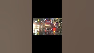 قرآن كريم 💚راحة نفسية #ياسر_الدوسري