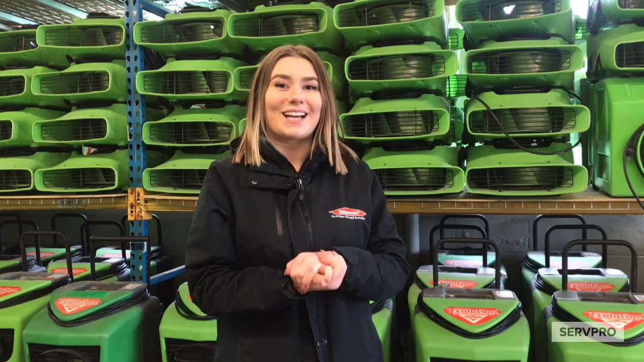 And the WINNER of the Cutest Pet Photo Contest is...