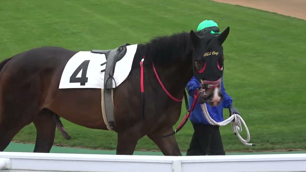 競馬 名馬 大きいパネル^o^ 競馬 名馬 大きいパネル^o^ 競馬 名馬 大きいパネル^o^