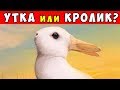 9 ОПТИЧЕСКИХ ИЛЛЮЗИЙ, КОТОРЫЕ СЛОМАЮТ ВАМ МОЗГ