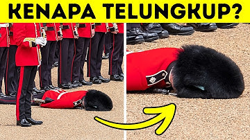 100+ Fakta Ini Membuktikan Masih Banyak Hal di Dunia yang Belum Kita Tahu