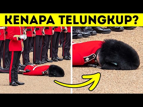 Video: 6 Cara Mudah Untuk Tetap Melindungi Anjing Anda Semasa Bulan Musim Panas Tanpa AC