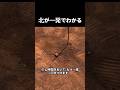 スマホなしで北が分かる裏ワザ