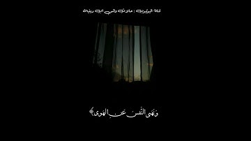 رعد الكردي حالات واتس اب / سورة النازعات / قران