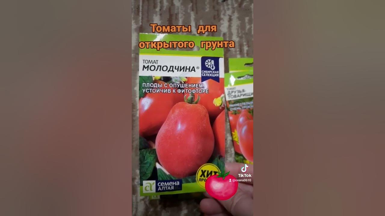 Томат дорогой гость