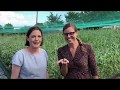 Danish Snails from Farm to Table Danish Snails from Farm to Table