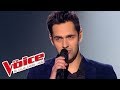 Cline dion  vole  yoann frget  the voice france 2013  prime 3