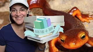 Magical Readathons TBR! | BTAT and NEWTs
