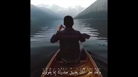 لكل من ضاق صدره اجمل تلاوة قرئانية // حالات وتس اب دينية.