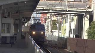 JR貨物 EF66-112号機（吹田）＋コキ20両　貨物列車2059レ カンガルーライナーSS60 2021.03.11